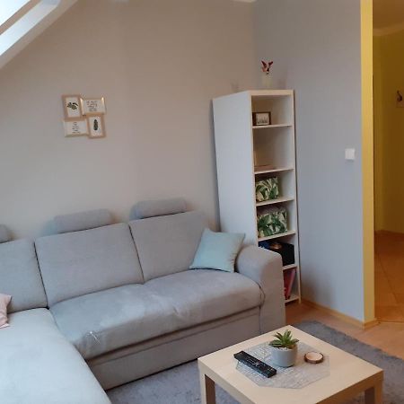 Apartament Kaktus Mrągowo Dış mekan fotoğraf