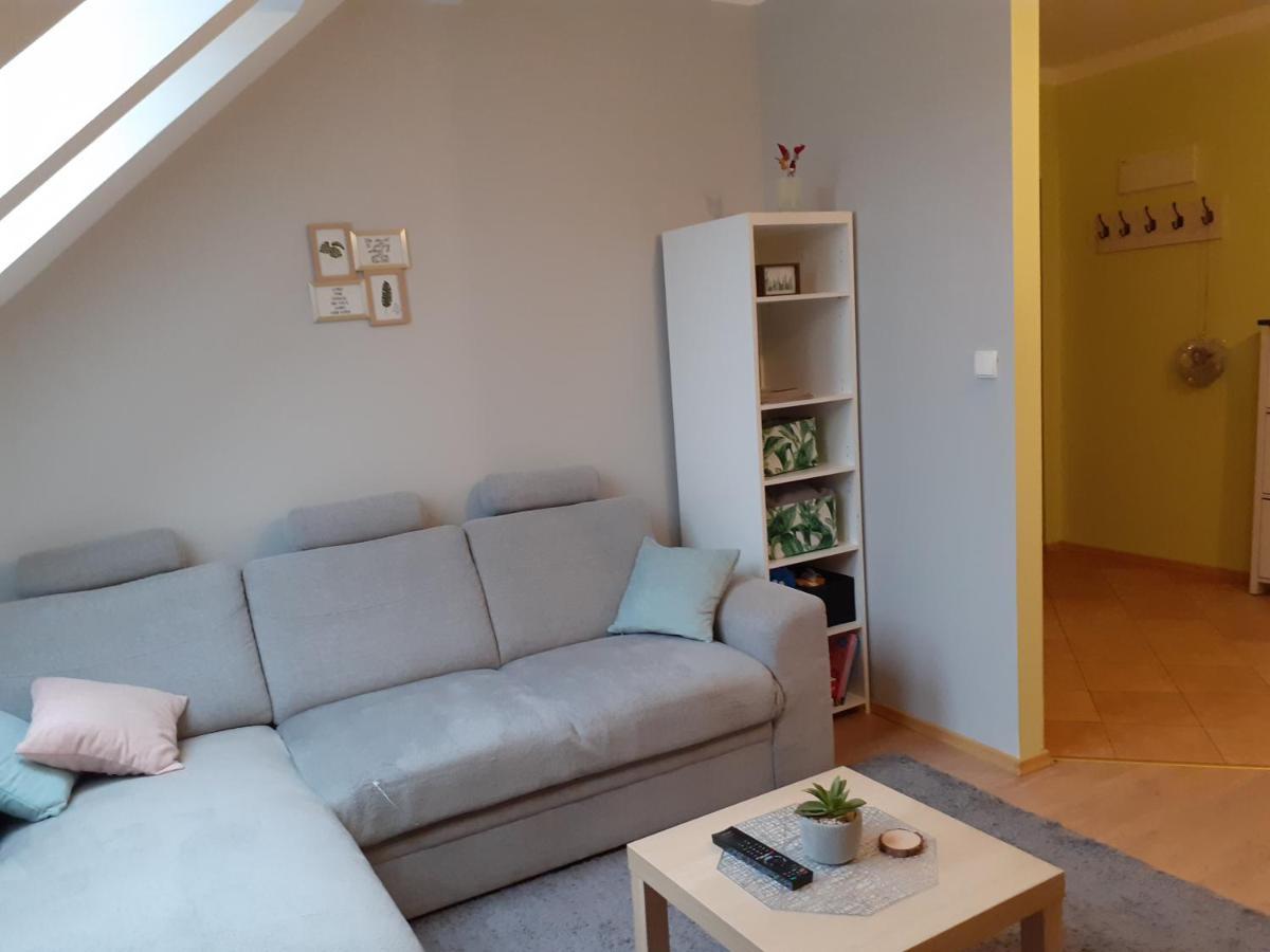 Apartament Kaktus Mrągowo Dış mekan fotoğraf